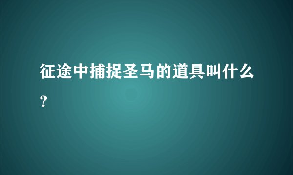 征途中捕捉圣马的道具叫什么？