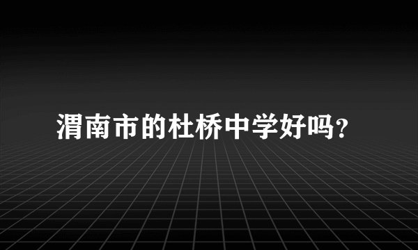 渭南市的杜桥中学好吗？