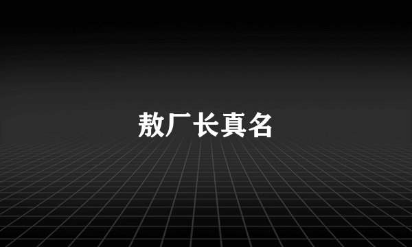 敖厂长真名