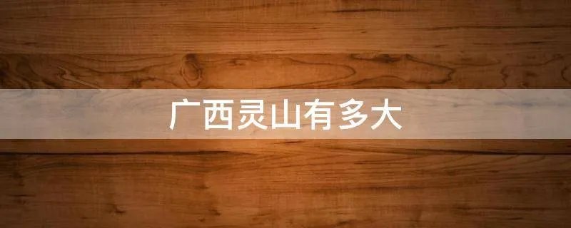广西灵山有多大