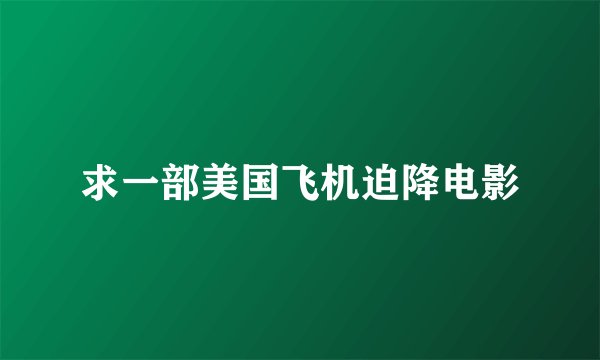 求一部美国飞机迫降电影