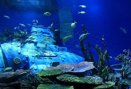 武汉海洋馆和海洋公园哪个好玩