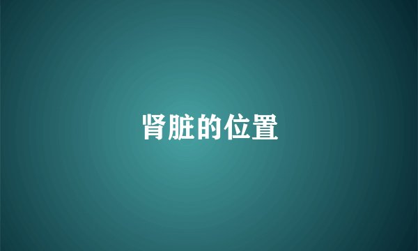 肾脏的位置