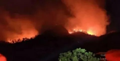 福建漳浦突发山火,当地相关部门采取了哪些急救措施?