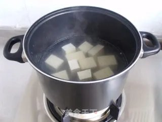 鲶鱼炖豆腐