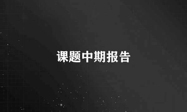 课题中期报告