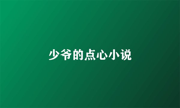 少爷的点心小说