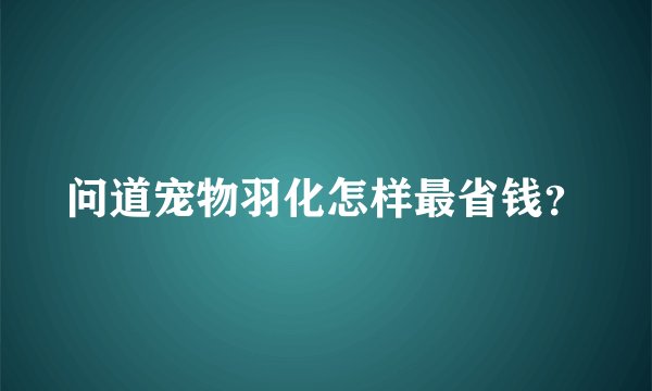 问道宠物羽化怎样最省钱？