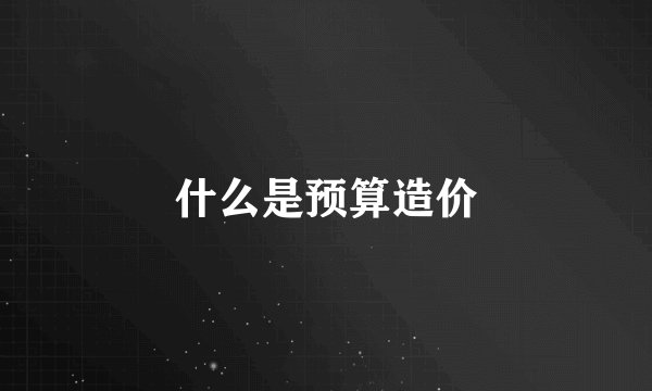 什么是预算造价