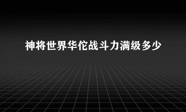 神将世界华佗战斗力满级多少