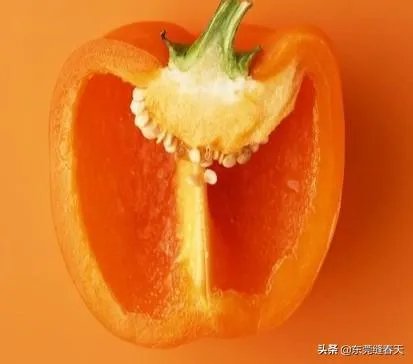 萨菲罗彩椒有什么特点?它的栽培技术要点有哪些?