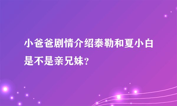 小爸爸剧情介绍泰勒和夏小白是不是亲兄妹？
