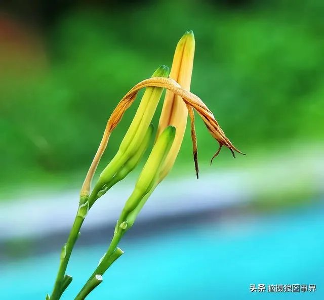 摄影家摄影师