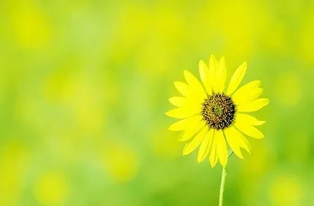 元亨利贞紫薇斗数在线排盘，紫微斗数是测算什么的？
