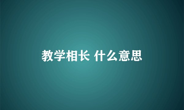 教学相长 什么意思