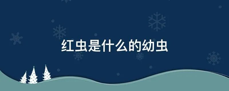红虫是什么的幼虫