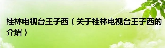桂林电视台王子西（关于桂林电视台王子西的介绍）
