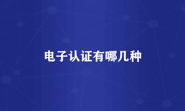 电子认证有哪几种