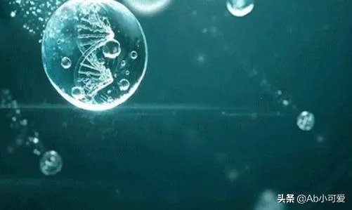 雅诗兰黛小棕瓶成分？