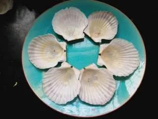 蒜蓉扇贝