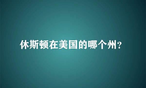 休斯顿在美国的哪个州？