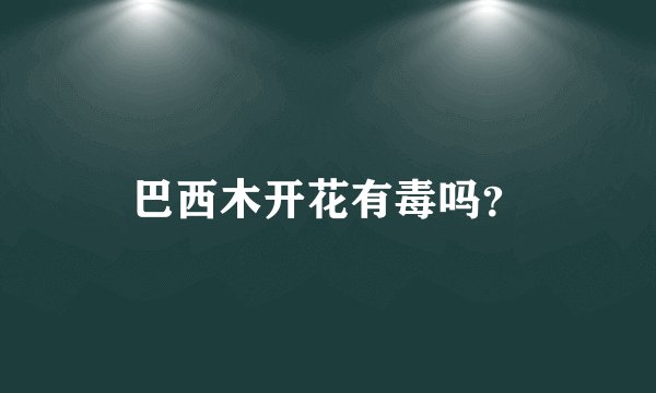 巴西木开花有毒吗？