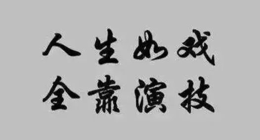 老外油管主播伪装车祸暗拍视频 因扰乱秩序被捕