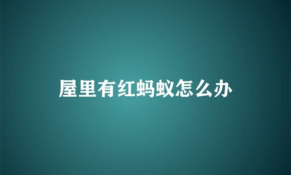 屋里有红蚂蚁怎么办