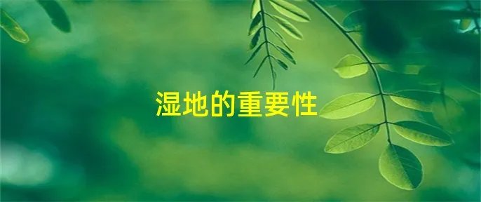 湿地的重要性