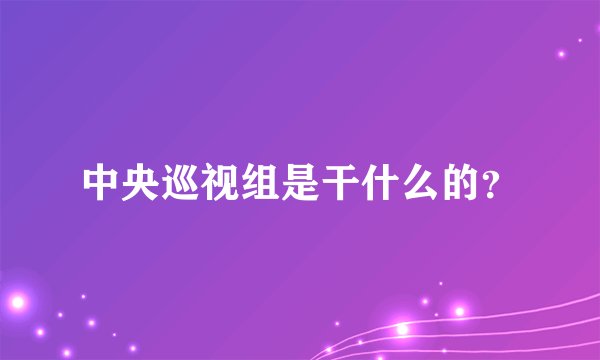 中央巡视组是干什么的?