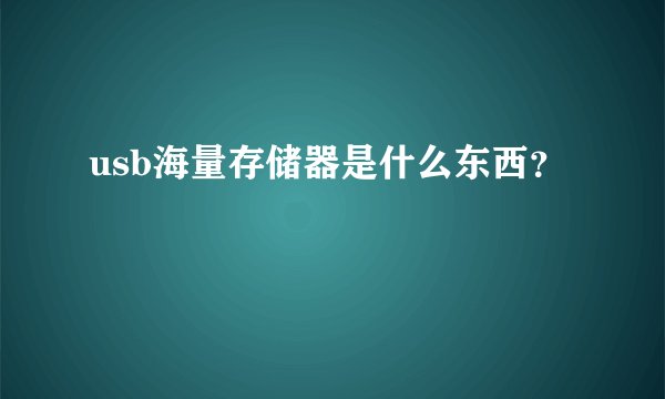 usb海量存储器是什么东西？