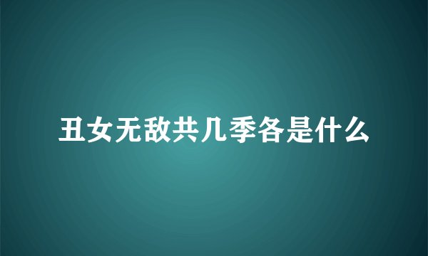 丑女无敌共几季各是什么