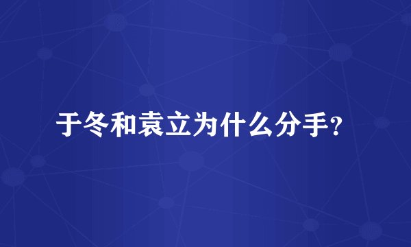 于冬和袁立为什么分手？