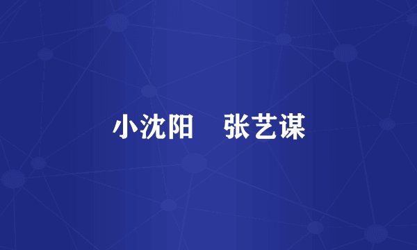 小沈阳 张艺谋