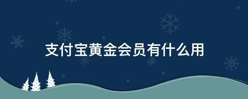 支付宝黄金会员有什么用