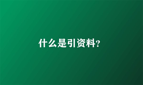 什么是引资料？