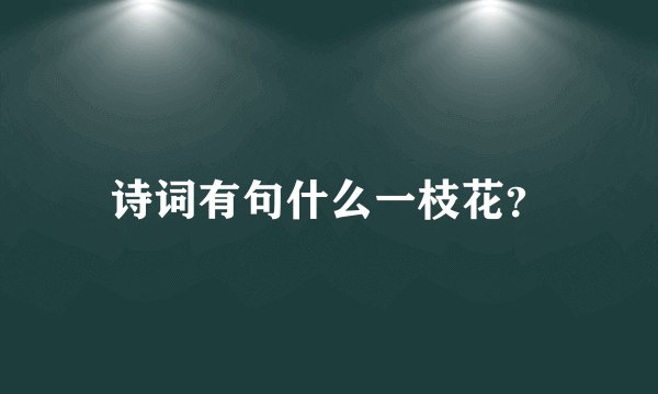 诗词有句什么一枝花？