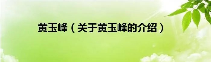 黄玉峰（关于黄玉峰的介绍）