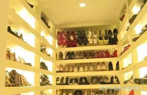 张庭林瑞阳夫妇,到底干什么?