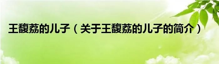 王馥荔的儿子(关于王馥荔的儿子的简介)