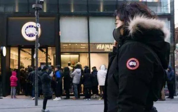 加拿大鹅股价持续下跌,造成这种现象的原因是什么?