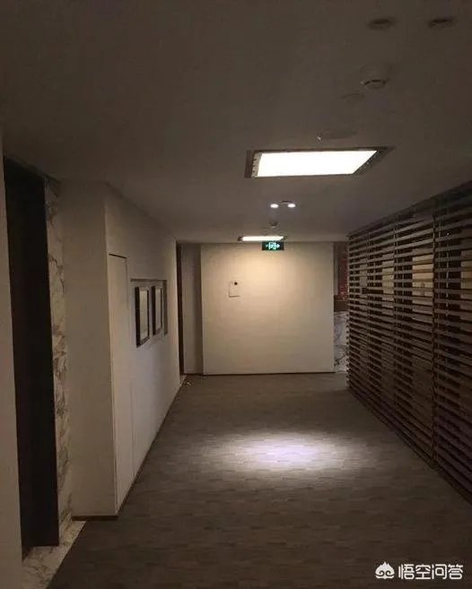 退役的狙击手都不会去参加奥运会吗?为什么?