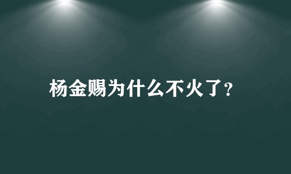 杨金赐为什么不火了？