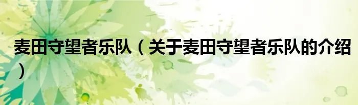 麦田守望者乐队（关于麦田守望者乐队的介绍）