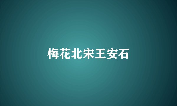梅花北宋王安石