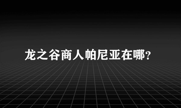 龙之谷商人帕尼亚在哪？
