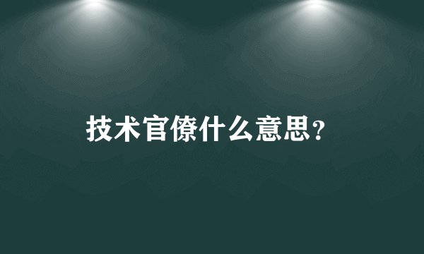 技术官僚什么意思？