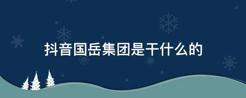 抖音国岳集团是干什么的