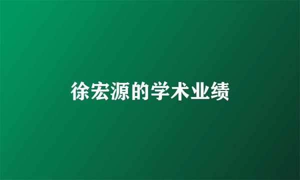 徐宏源的学术业绩