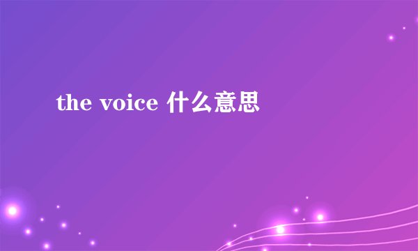 the voice 什么意思